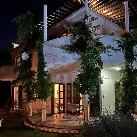 Green Villa In Olives Bar Exteriér fotografie