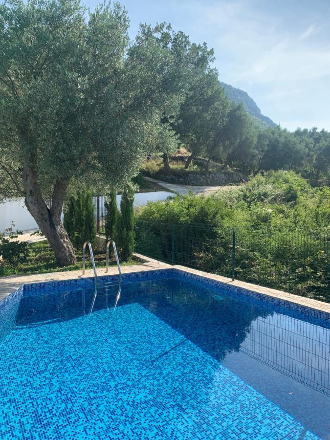 Green Villa In Olives Bar Exteriér fotografie