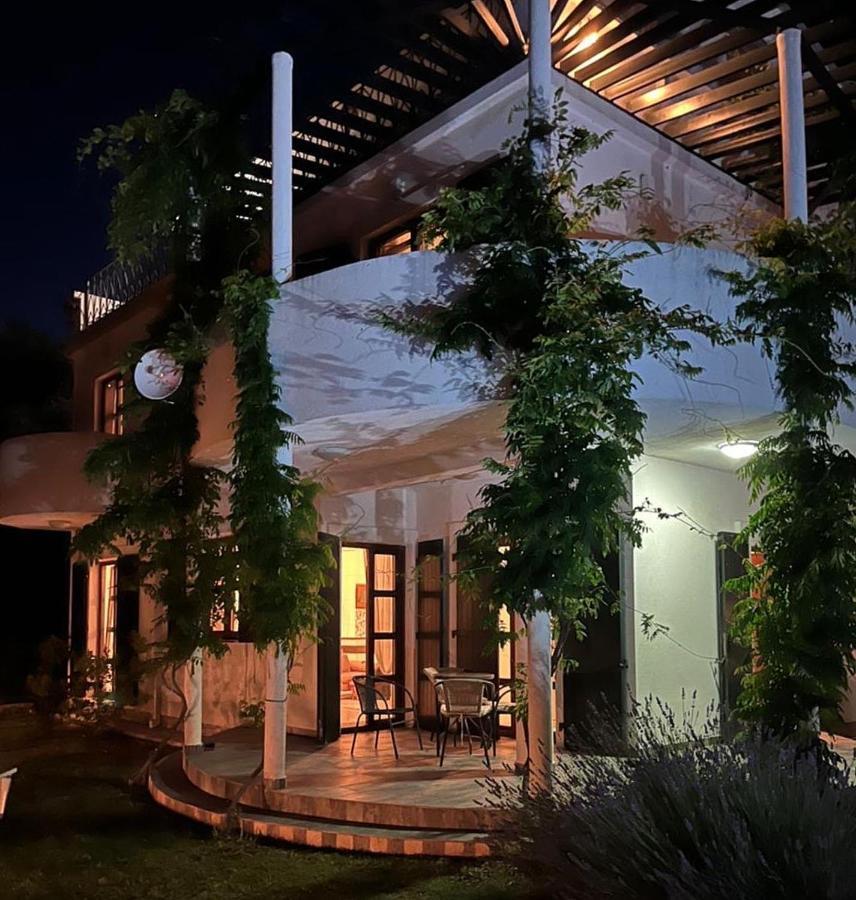 Green Villa In Olives Bar Exteriér fotografie