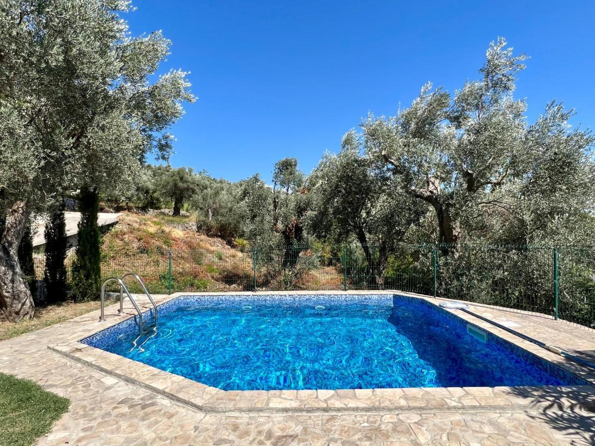 Green Villa In Olives Bar Exteriér fotografie