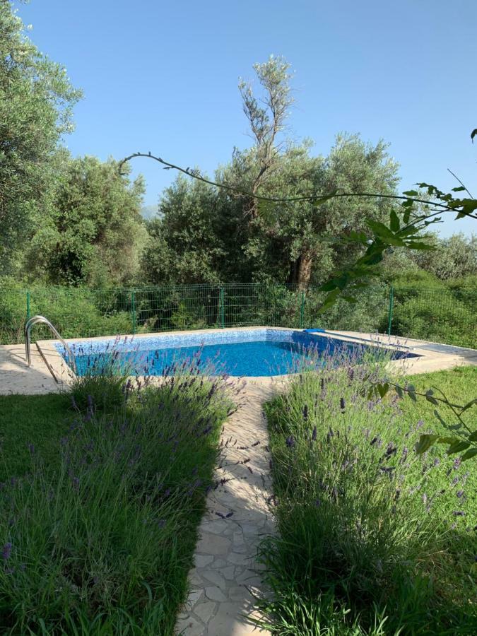 Green Villa In Olives Bar Exteriér fotografie